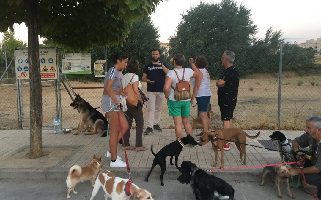 Luis Salaya quiere una ciudad que se preocupe por el bienestar animal