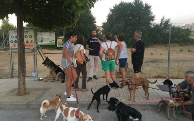 Luis Salaya quiere una ciudad que se preocupe por el bienestar animal