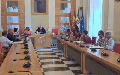 El Grupo Municipal Socialista denuncia que Mateos vende humo con los Planes de Choque de Limpieza en detrimento de los barrios de la ciudad