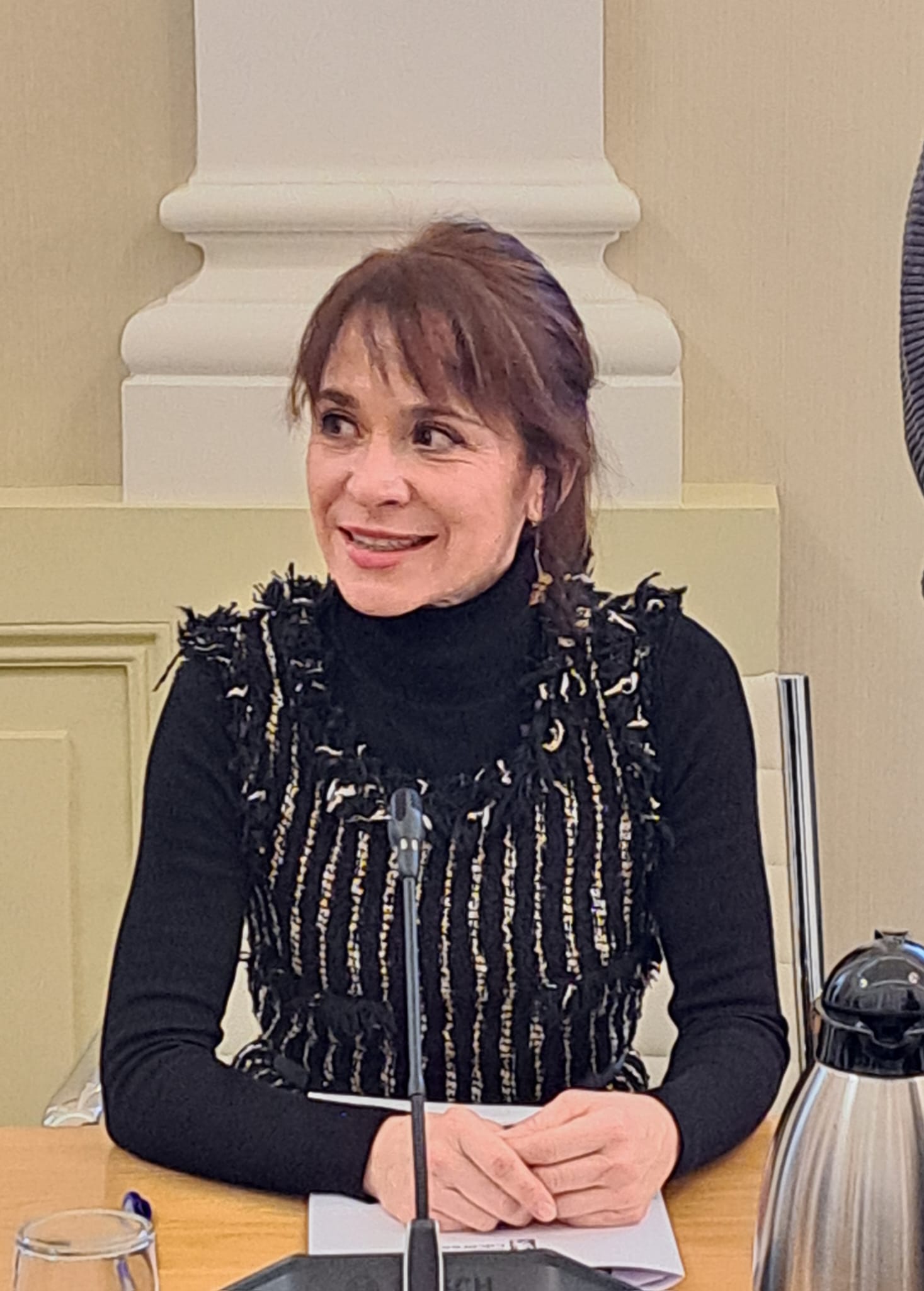 belen fernandez portavos gms pleno presupuesto 2025