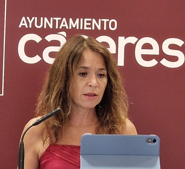 El PSOE exige a Rafa Mateos un verdadero proceso de participación ciudadana sobre el futuro de la Avenida Virgen de la Montaña