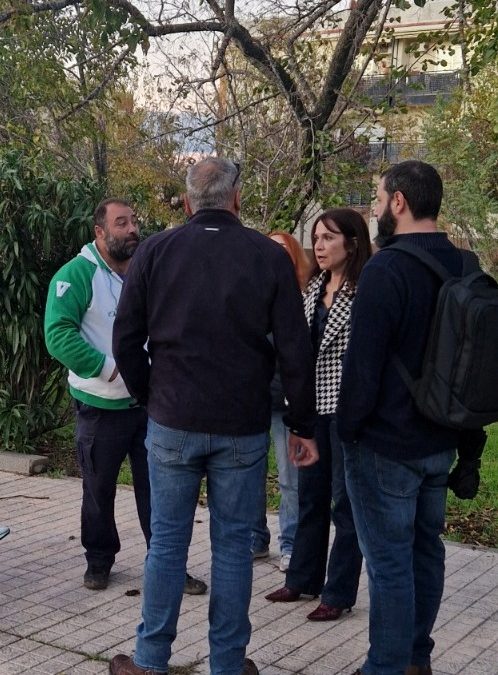 19-11-2025 GMS Mejostilla 1