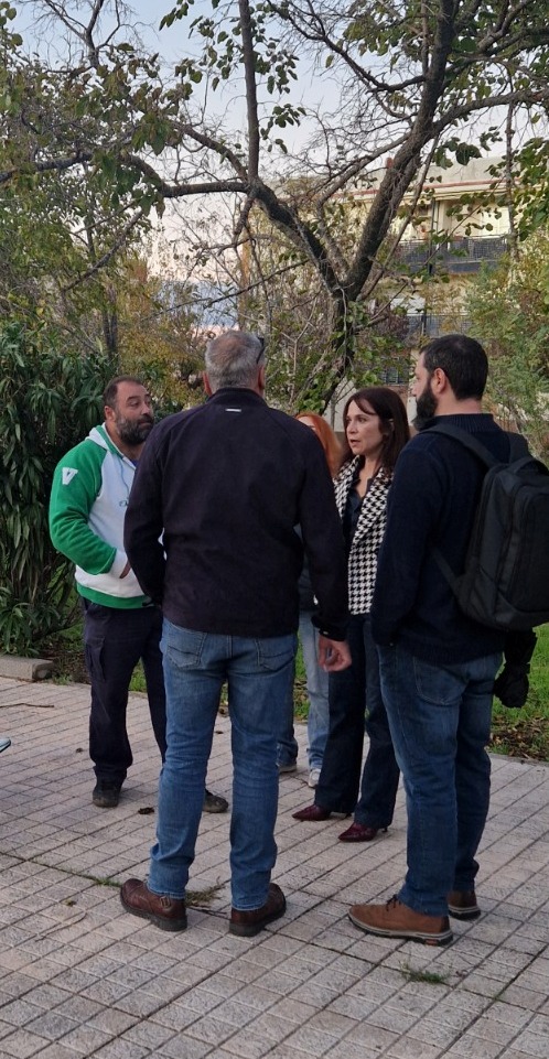 19-11-2025 GMS Mejostilla 1