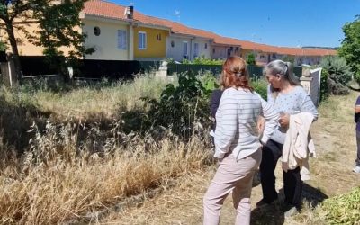 El PSOE exige un Plan Integral urgente para La Mejostilla ante el “abandono” y el riesgo para la salud pública